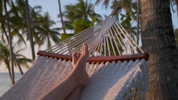Radosny wypoczynek w tropikach - Materiał filmowy, wideo