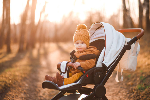 Baby boy in warm jacket and hat sitting in modern stroller on a walk in a park. Child in buggy. - Foto, imagen
