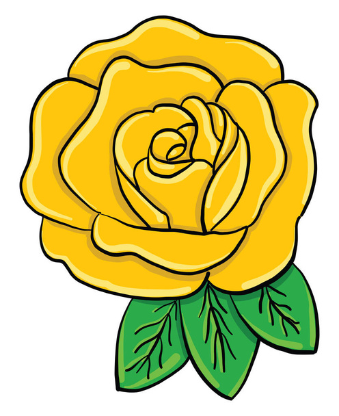 Yellow rose, illustration, vector on white background - Vector, Imagen