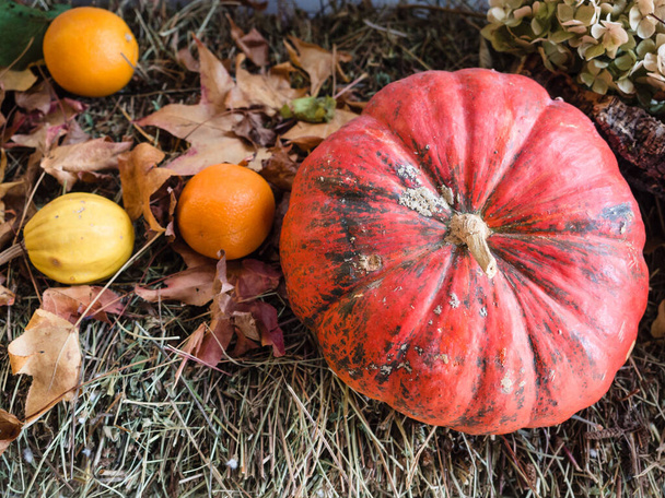 Red pumpkin resting on hay with leaves and autumn fruit. - Photo, Image