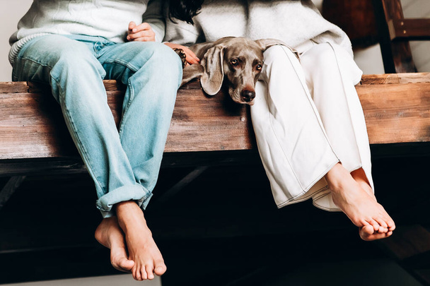 Genç evli çift evlerinde bir köpekle dinleniyor. Aile zamanı. - Fotoğraf, Görsel