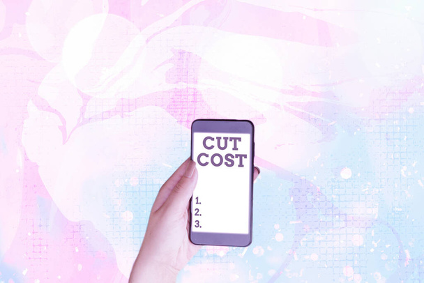 Znak tekstowy pokazujący Cut Cost. Koncepcyjne zdjęcie Środki wdrożone w celu zmniejszenia wydatków i poprawy zysku. - Zdjęcie, obraz