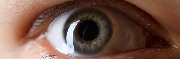 Male gray green colored right eye in low light technique - 写真・画像