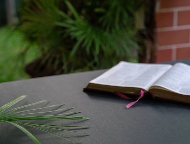Biblia aberta na mesa preta. Folhas de palma. Foco suave, texto desfocado. Espaço para texto
. - Foto, Imagem