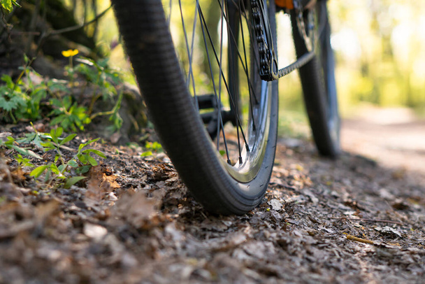 close-up των τροχών και το κάτω μέρος ενός ποδηλάτου σε δασικές διαδρομές πριν από το ηλιοβασίλεμα - Φωτογραφία, εικόνα