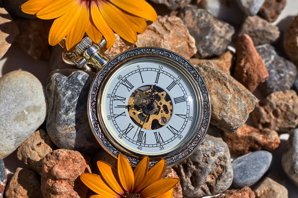 Relógio de bolso e margaridas laranja nas rochas
 - Foto, Imagem