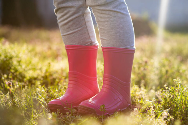 Child leg in pink wellington boots standing in magic spring garden. - Foto, immagini