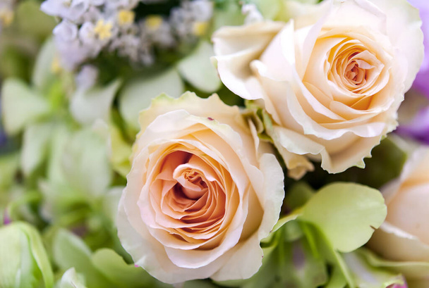Bouquet of fresh roses, flower bright background. - Фото, зображення