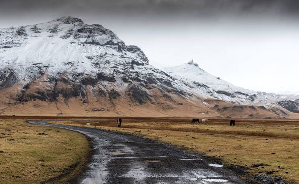 Lege landweg die leidt naar de besneeuwde berg en vallei met paarden die zich voeden in IJsland, Europa.  - Foto, afbeelding