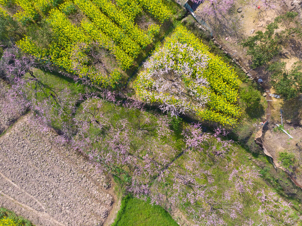 Tavaszi légi fotózás táj Hubei Daye Zhaoshan Forest Park - Fotó, kép