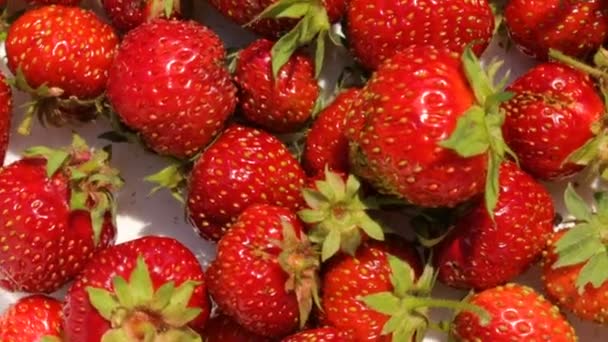 Φράουλες σε πιάτο σε κοντινό πλάνο - Πλάνα, βίντεο