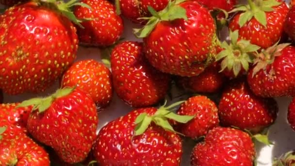 Strawberries on plate in closeup - Footage, Video