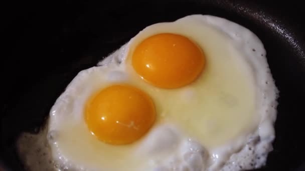 fried eggs in a pan - Séquence, vidéo