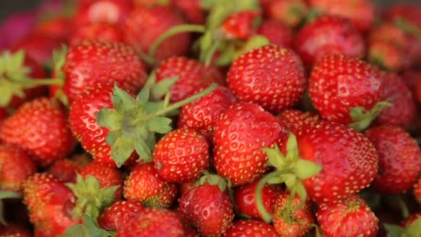 Φράουλες σε μπολ σε κοντινό πλάνο - Πλάνα, βίντεο