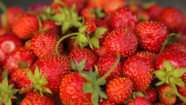 Strawberries in bowl in closeup - Footage, Video