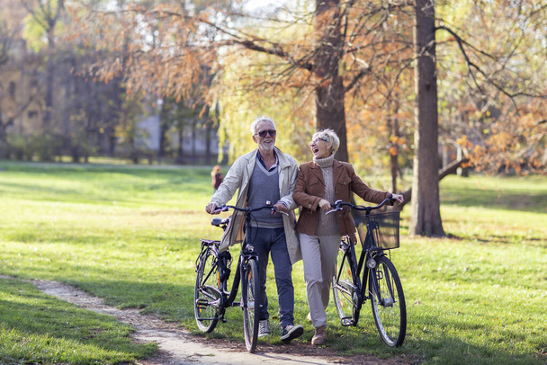 Old mature couple with bikes in park - Photo, Image