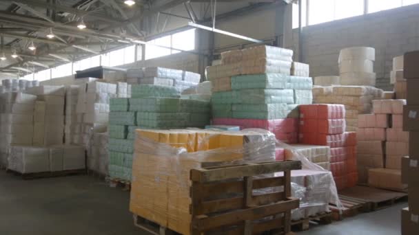 Embalaje de papel en fábrica de fabricación de papel
 - Metraje, vídeo