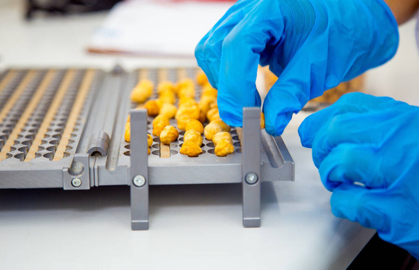 Hazelnut quality control by size on a special board with cells for the production of sweets. Hands of the laboratory assistant in gloves - Valokuva, kuva
