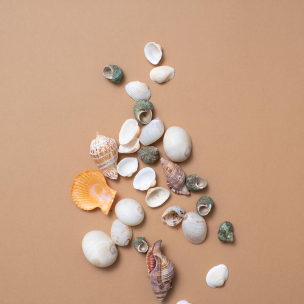 Different seashells on a ochre color background , the concept of holidays by the sea. - Valokuva, kuva