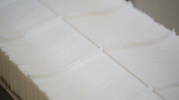 Producción de papel en fábrica de fabricación de papel
 - Metraje, vídeo