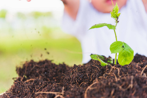 Día Mundial del Medio Ambiente Concepto de Medio Ambiente, Mano de Asiático lindo niño alegre plantación de árboles jóvenes en suelo negro sobre fondo de jardín verde - Foto, imagen