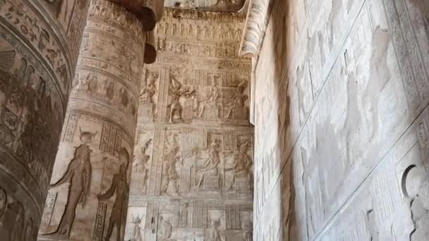 Beautiful interior of the Temple of Dendera or the Temple of Hathor. Egypt, Dendera, Ancient Egyptian temple near the city of Ken. - Filmagem, Vídeo