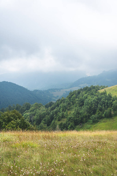 Poranna górska łąka kwiatowa, las, pastwiska i wzgórza przeciwko gęstej mgle i zachmurzonemu blademu niebu - Zdjęcie, obraz