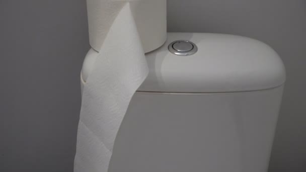 Toilet paper on the toilet - Footage, Video