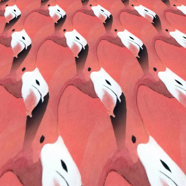 Birçok parlak Avrupa flamingo desenleri pembe arka planlı çağdaş sanat - Fotoğraf, Görsel