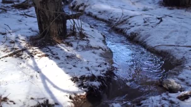 Concept of springtime. Flow of stream in winter season. Coming of spring. There is snow on ground. Streamlet running between trees. - Záběry, video