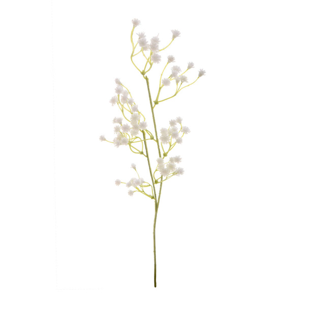 couleur fleurs artificielles isolées sur fond blanc
   - Photo, image