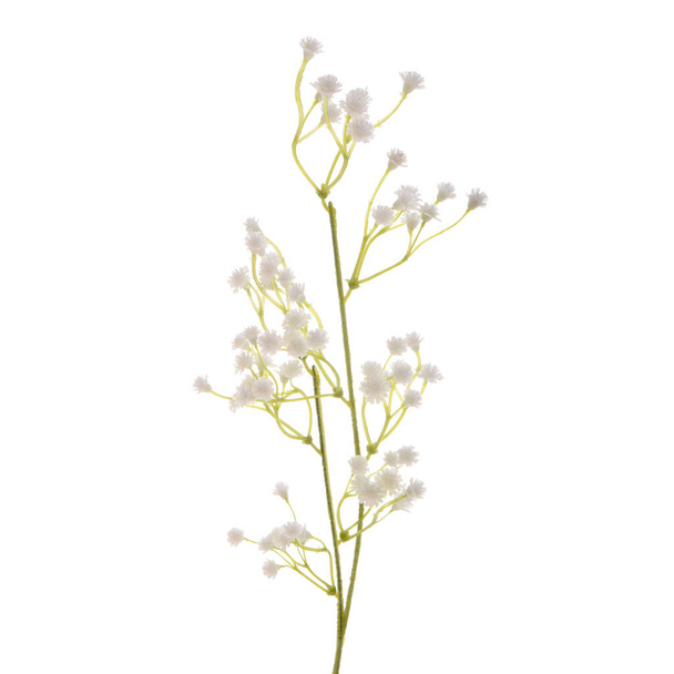 kleur kunstbloemen geïsoleerd op witte achtergrond   - Foto, afbeelding