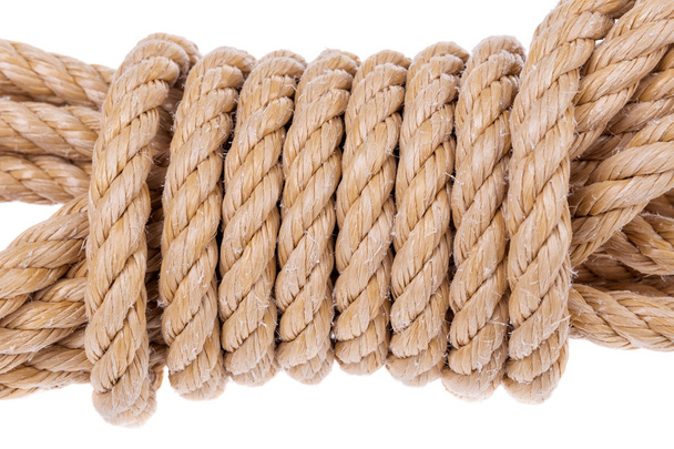 Coil of rope twisted into a roll. On a white background. - Foto, Imagem