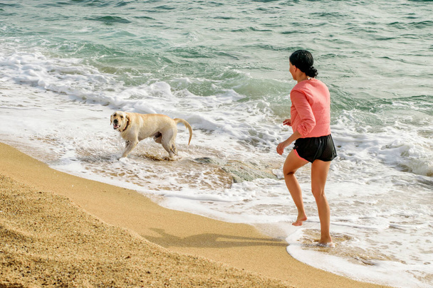 Dziewczyna z psem biegającym i bawiącym się na plaży. Korzystanie z zajęć na świeżym powietrzu, zdrowy styl życia.  - Zdjęcie, obraz