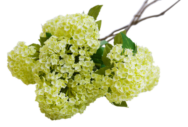 Bouquet de belles fleurs artificielles, isolé sur blanc
 - Photo, image