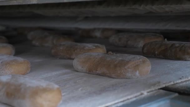 brood bakken in de bakkerij - Video