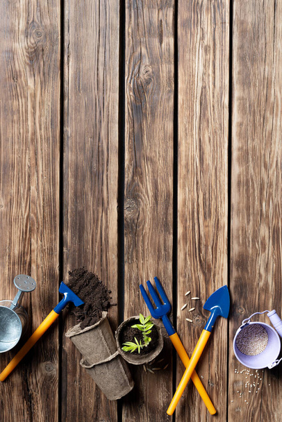 Wooden brown background with place for text. garden tools for plant seedlings as a concept. - Foto, imagen