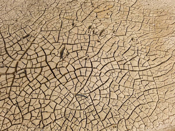 Pohled shora na suchou vyprahlou půdu s prasklinami během intenzivního horka. Nedostatek vody na zemědělském poli. Koncept globálního oteplování. - Fotografie, Obrázek