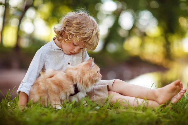 Pequeño chico rizado con un gato pelirrojo
 - Foto, imagen