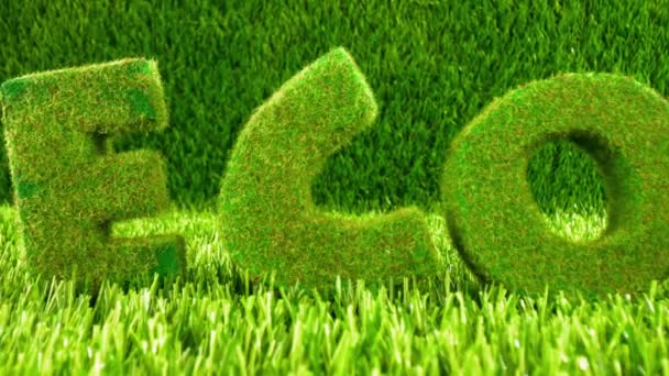 Buchstaben auf dem grünen Rasen. Hintergrund zum Öko-Konzept. - Filmmaterial, Video
