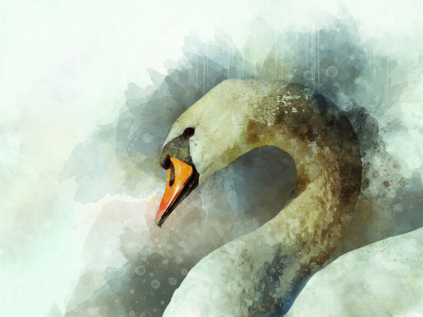 Aquarell-Illustration eines weißen Schwans auf weißem Hintergrund. Vogelillustration. - Foto, Bild