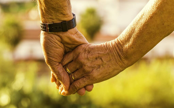 A closeup of an old couple holding hands under the sunlight with a blurry background - Foto, Imagem