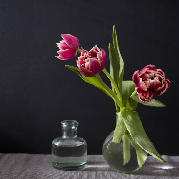 Three red terry tulips in a round vase with on a black background - Fotografie, Obrázek