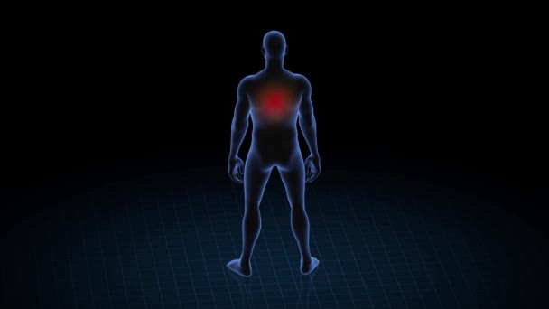 Man met rugpathologie. 3d lichaam van jongen. Roterende animatie en close-up van mannelijke menselijke structuur. 4k HUD-beelden. - Video