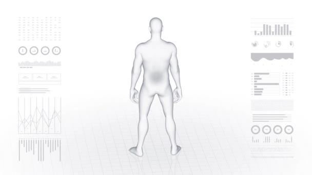 Man met lumbale pathologie. 3d lichaam van jongen. Roterende animatie en close-up van mannelijke menselijke structuur. 4k HUD-beelden. - Video