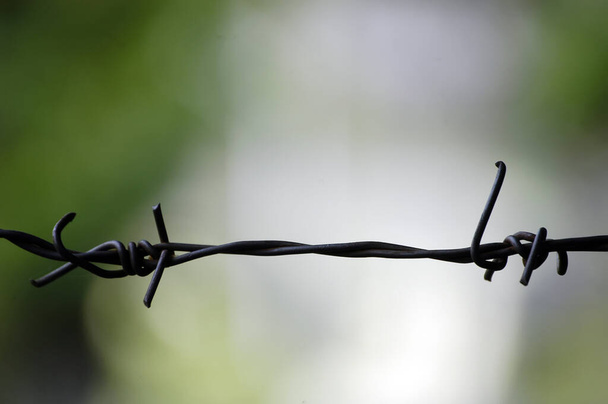  barbed wire on a fence - Photo, Image