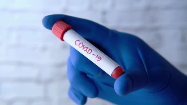 лаборант тестирует коронный вирус, тест COVID 19. - Кадры, видео