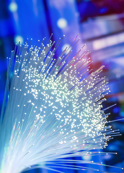 Fiber optics network cable on technology background - Photo, Image