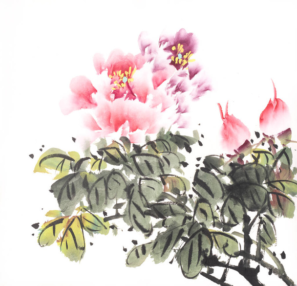 Traditional chinese ink and wash painting of peony flower - Фото, изображение