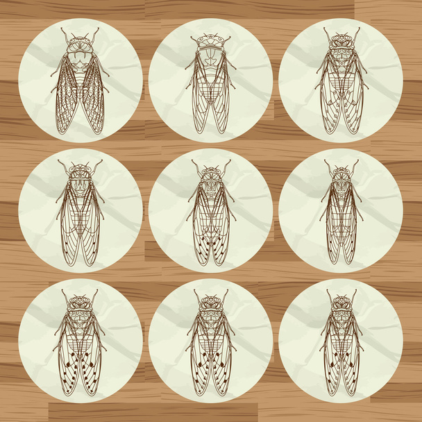 Insekten-Hintergrund - Vektor, Bild